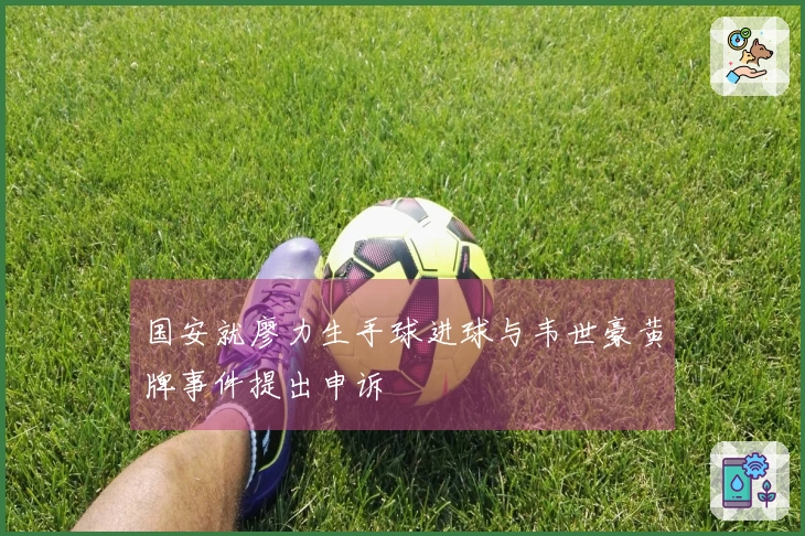 国安就廖力生手球进球与韦世豪黄牌事件提出申诉