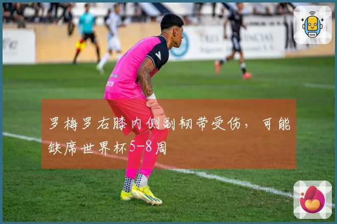 罗梅罗右膝内侧副韧带受伤，可能缺席世界杯5-8周