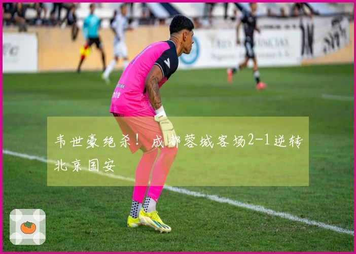 韦世豪绝杀！成都蓉城客场2-1逆转北京国安