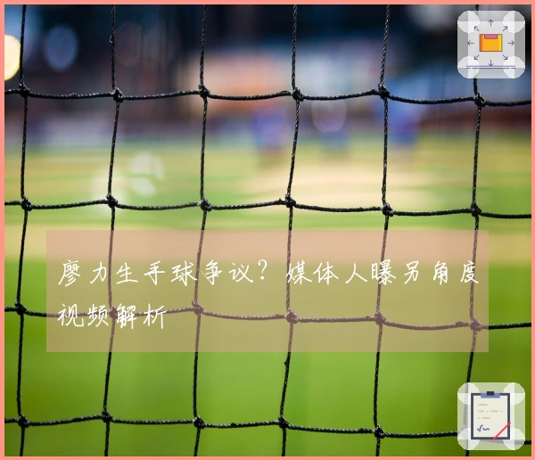 廖力生手球争议？媒体人曝另角度视频解析